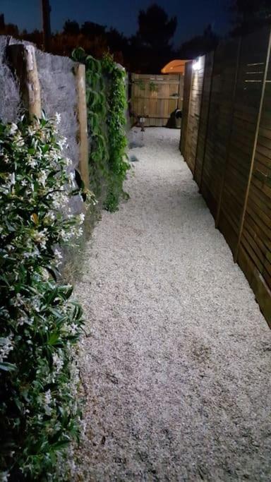 Le Chai De L'Ocean - Studio Avec Jardin Et Terrasse - Plage 300 M Soulac-sur-Mer Zewnętrze zdjęcie